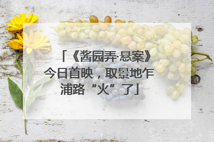 《酱园弄·悬案》今日首映，取景地乍浦路“火”了