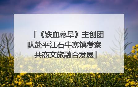 《铁血幕阜》主创团队赴平江石牛寨镇考察 共商文旅融合发展