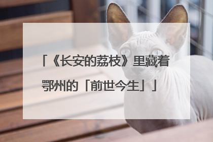 《长安的荔枝》里藏着鄂州的「前世今生」