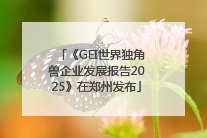《GEI世界独角兽企业发展报告2025》在郑州发布