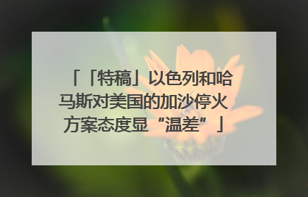 「特稿」以色列和哈马斯对美国的加沙停火方案态度显“温差”