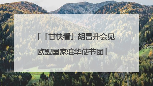 「甘快看」胡昌升会见欧盟国家驻华使节团
