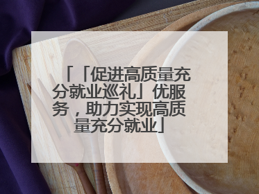 「促进高质量充分就业巡礼」优服务，助力实现高质量充分就业