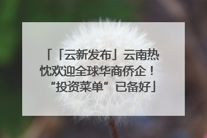 「云新发布」云南热忱欢迎全球华商侨企！“投资菜单”已备好