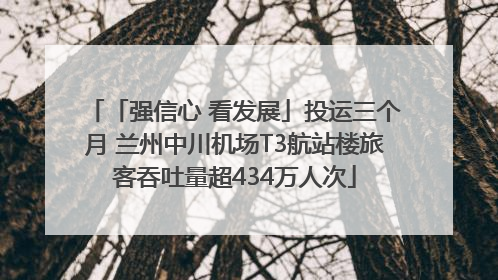 「强信心 看发展」投运三个月 兰州中川机场T3航站楼旅客吞吐量超434万人次