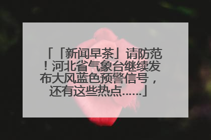 「新闻早茶」请防范！河北省气象台继续发布大风蓝色预警信号，还有这些热点……