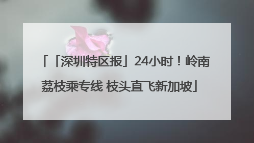 「深圳特区报」24小时！岭南荔枝乘专线 枝头直飞新加坡