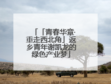「青春华章·重走西北角」返乡青年谢凯龙的绿色产业梦