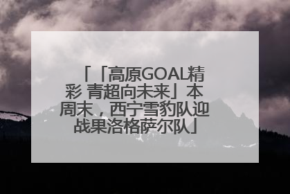 「高原GOAL精彩 青超向未来」本周末，西宁雪豹队迎战果洛格萨尔队