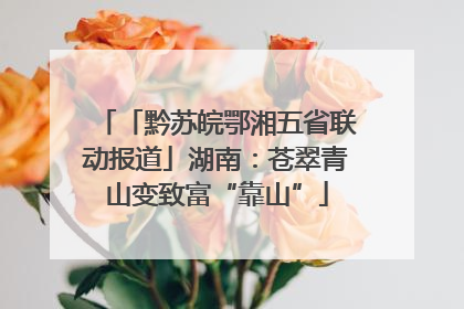 「黔苏皖鄂湘五省联动报道」湖南：苍翠青山变致富“靠山”
