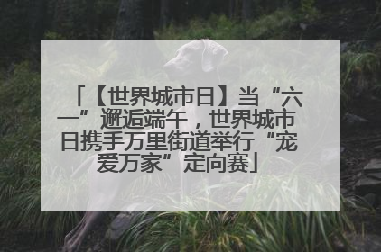 【世界城市日】当“六一”邂逅端午，世界城市日携手万里街道举行“宠爱万家”定向赛