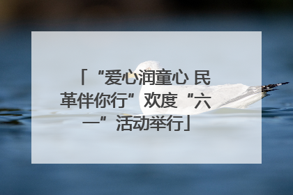“爱心润童心 民革伴你行”欢度“六一”活动举行