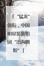 “猛龙”领衔，中国明星装备组团“出海圈粉”