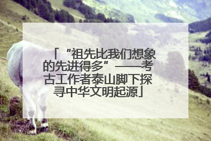 “祖先比我们想象的先进得多”——考古工作者泰山脚下探寻中华文明起源