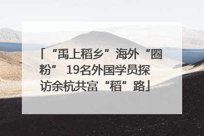 “禹上稻乡”海外“圈粉” 19名外国学员探访余杭共富“稻”路