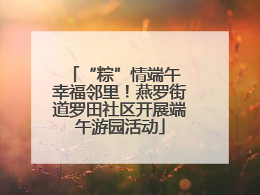 “粽”情端午 幸福邻里！燕罗街道罗田社区开展端午游园活动