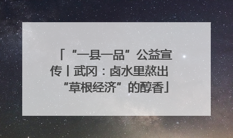 “一县一品”公益宣传丨武冈：卤水里熬出“草根经济”的醇香