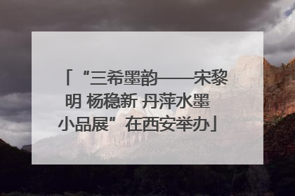 “三希墨韵——宋黎明 杨稳新 丹萍水墨小品展”在西安举办