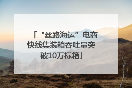 “丝路海运”电商快线集装箱吞吐量突破10万标箱
