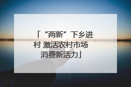 “两新”下乡进村 激活农村市场消费新活力
