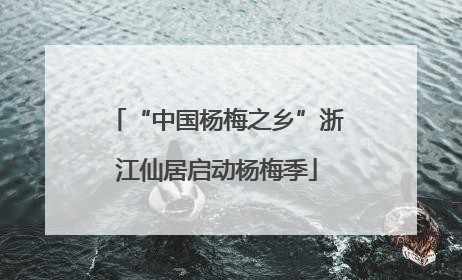 “中国杨梅之乡”浙江仙居启动杨梅季