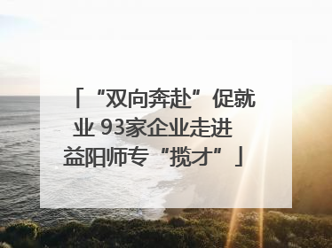 “双向奔赴”促就业 93家企业走进益阳师专“揽才”
