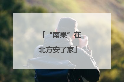 “南果”在北方安了家