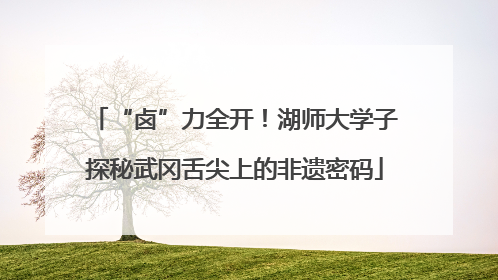 “卤”力全开！湖师大学子探秘武冈舌尖上的非遗密码