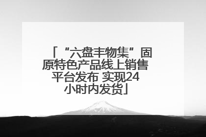 “六盘丰物集”固原特色产品线上销售平台发布 实现24小时内发货