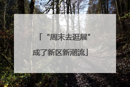 “周末去逛展”成了新区新潮流