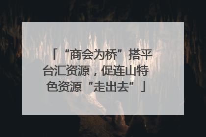 “商会为桥”搭平台汇资源，促连山特色资源“走出去”