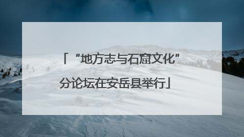 “地方志与石窟文化”分论坛在安岳县举行