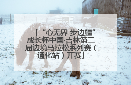“心无界 步边疆”成长杯中国·吉林第二届边境马拉松系列赛（通化站）开赛