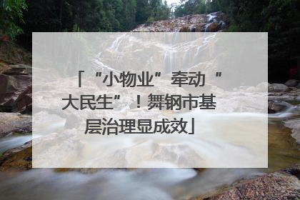 “小物业”牵动“大民生”！舞钢市基层治理显成效