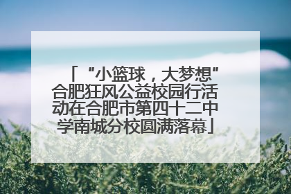 “小篮球，大梦想”合肥狂风公益校园行活动在合肥市第四十二中学南城分校圆满落幕