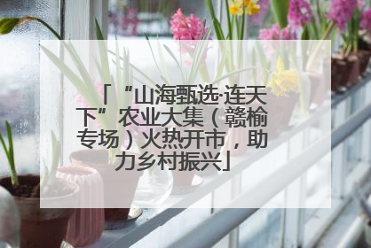 “山海甄选·连天下”农业大集（赣榆专场）火热开市，助力乡村振兴