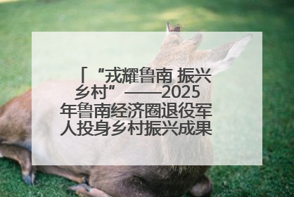 “戎耀鲁南 振兴乡村”——2025年鲁南经济圈退役军人投身乡村振兴成果展销会盛大启幕