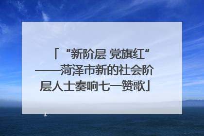 “新阶层 党旗红”——菏泽市新的社会阶层人士奏响七一赞歌