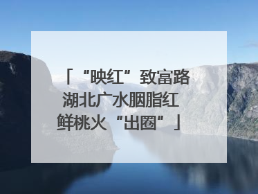 “映红”致富路 湖北广水胭脂红鲜桃火“出圈”