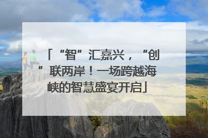 “智”汇嘉兴，“创”联两岸！一场跨越海峡的智慧盛宴开启