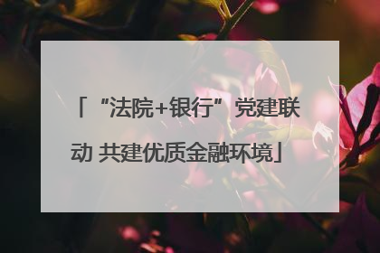 “法院+银行”党建联动 共建优质金融环境