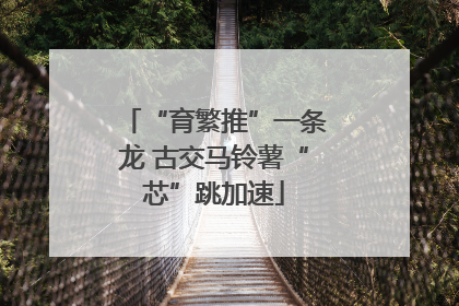 “育繁推”一条龙 古交马铃薯“芯”跳加速