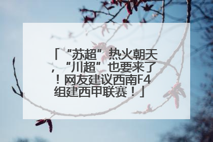 “苏超”热火朝天，“川超”也要来了！网友建议西南F4组建西甲联赛！