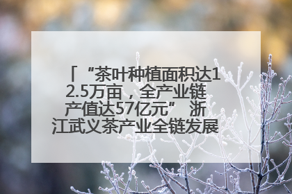 “茶叶种植面积达12.5万亩，全产业链产值达57亿元” 浙江武义茶产业全链发展“加速度”