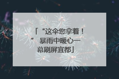 “这伞您拿着！” 暴雨中暖心一幕刷屏宜都