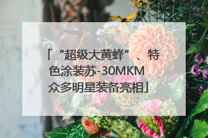 “超级大黄蜂”、特色涂装苏-30MKM 众多明星装备亮相