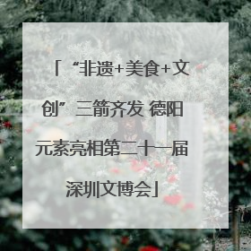 “非遗+美食+文创”三箭齐发 德阳元素亮相第二十一届深圳文博会