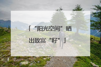 “阳光空间”晒出致富“籽”