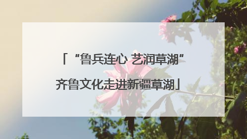 “鲁兵连心 艺润草湖” 齐鲁文化走进新疆草湖