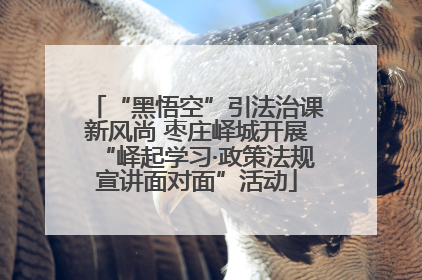 “黑悟空”引法治课新风尚 枣庄峄城开展“峄起学习·政策法规宣讲面对面”活动